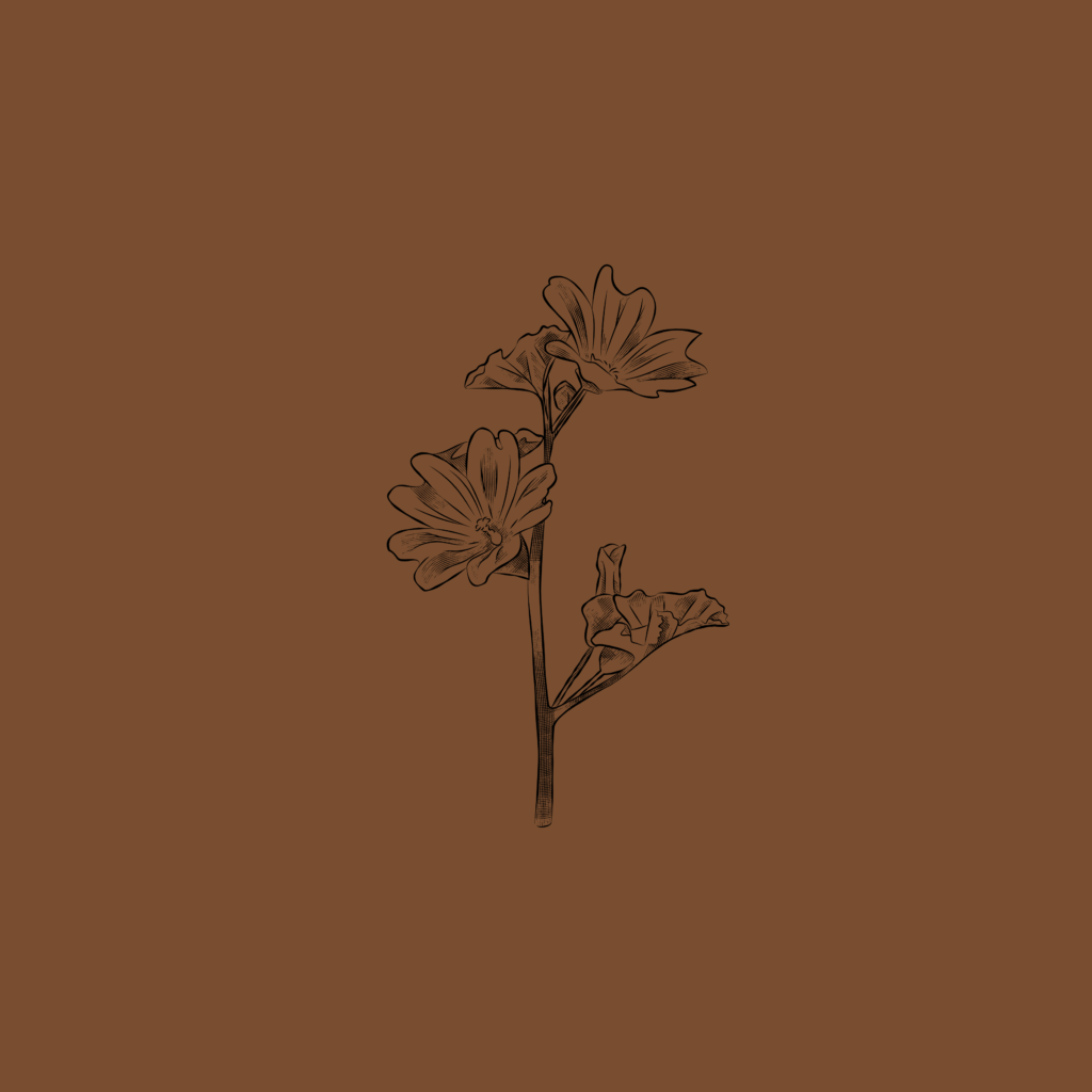 interior design project